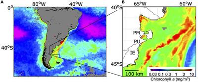 Impact of Increased Nutrients and Lowered pH on Photosynthesis and Growth of Three Marine Phytoplankton Communities From the Coastal South West Atlantic (Patagonia, Argentina)